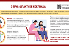 коклюш